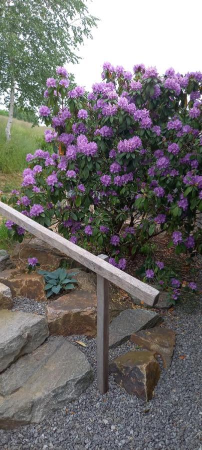 Ferienhaus Sinneswandel Sehmatal Dış mekan fotoğraf
